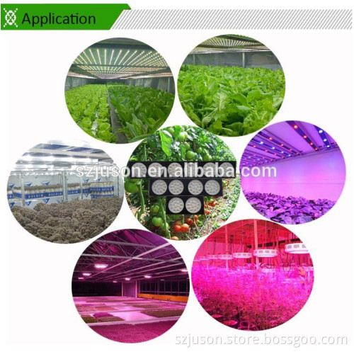 2015 sunlight spectrum led grow light professional indoor planting grow light chinese led light manufacture plant